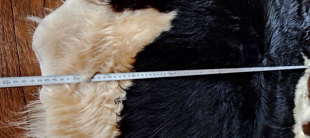 Tutte le decorazioni: Fell vom Schottischen Hochlandrind – Nuovo (secondo la descrizione) da Aeschlen b. Oberdiessbach venduto da Goofi3 2