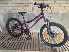 Merida Kinder Mountainbike, 20 Zoll, Top Zustand!