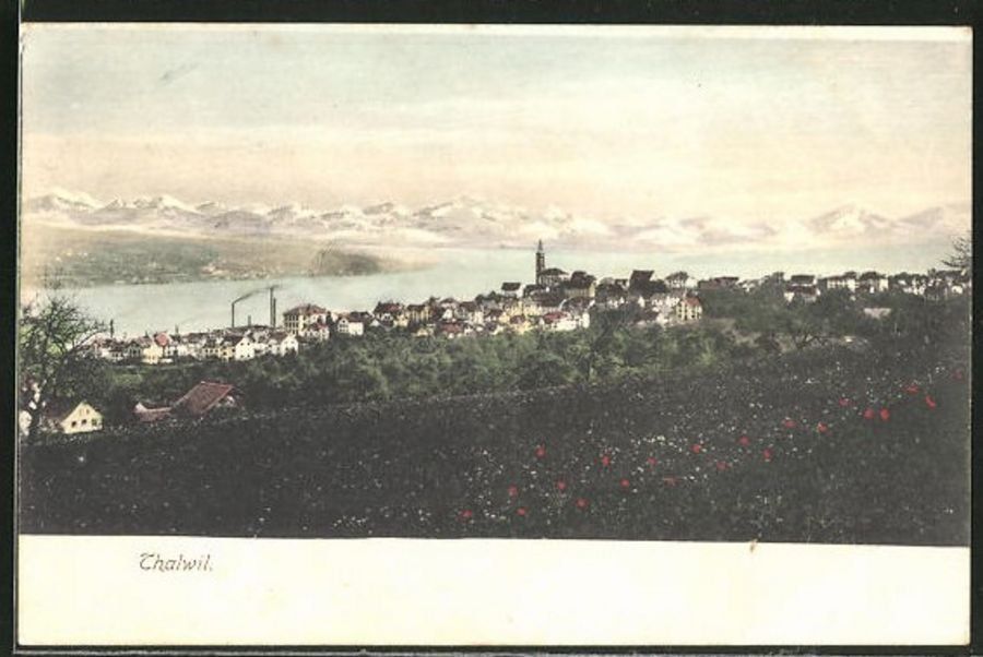 Cartoline postali: Thalwil, gelaufen 1911 – Usato da Frauenfeld venduto da POML