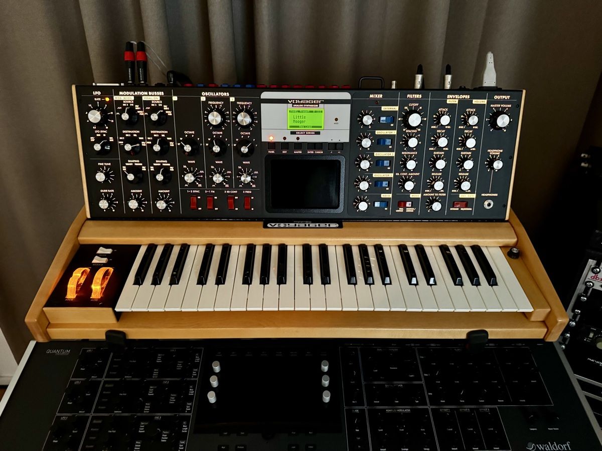 Moog Strumenti musicali: Moog Voyager - Solar Maple - Select Series - Synthesizer – Usato da Zürich venduto da 1cut2 1