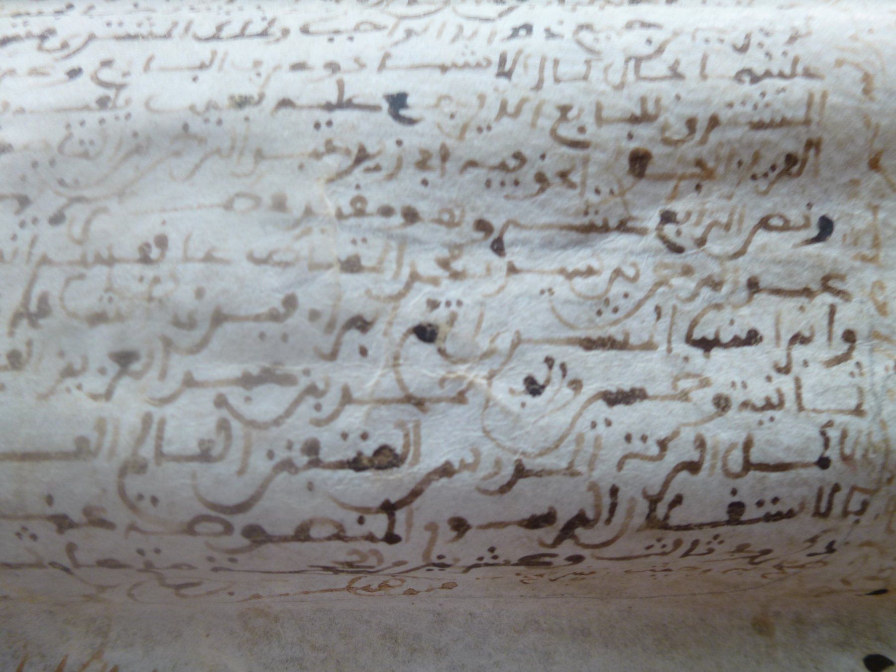 Bücher: Alte Schriftrolle aus Ägypten – Gebraucht aus Esslingen von eintagammeer 7