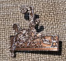 M412 - Pin Schweiz Basel SC Zoll - Silberiger Rohling