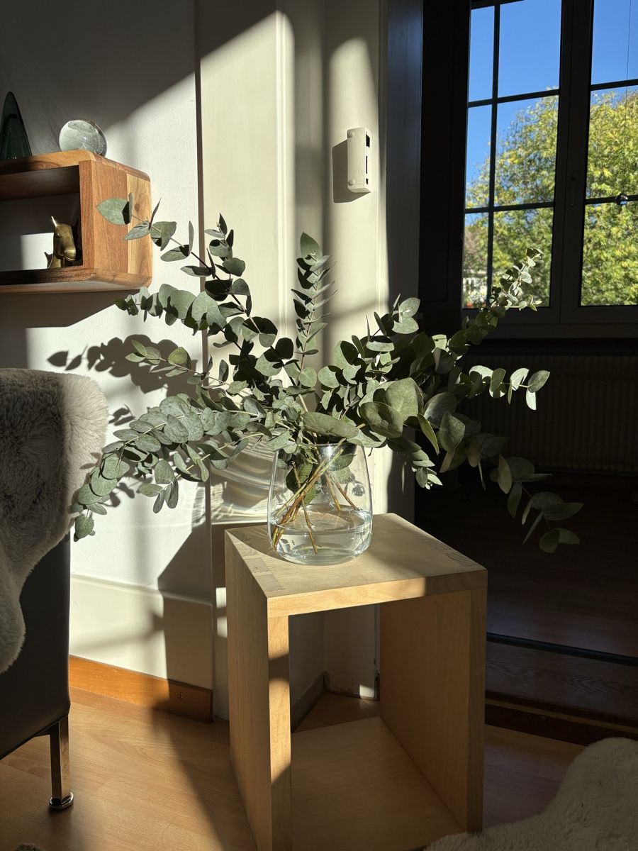 Vasi & Recipienti: Runde Glasvase – Usato da Bern venduto da wisemagpie 8