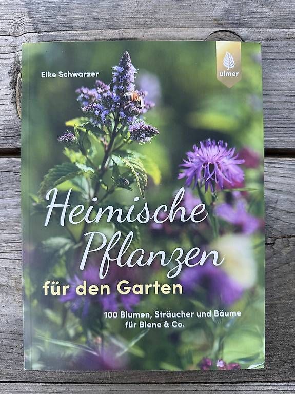 Libri: Garten und Selbstversorgung – Usato da Liebefeld venduto da katrin13 4
