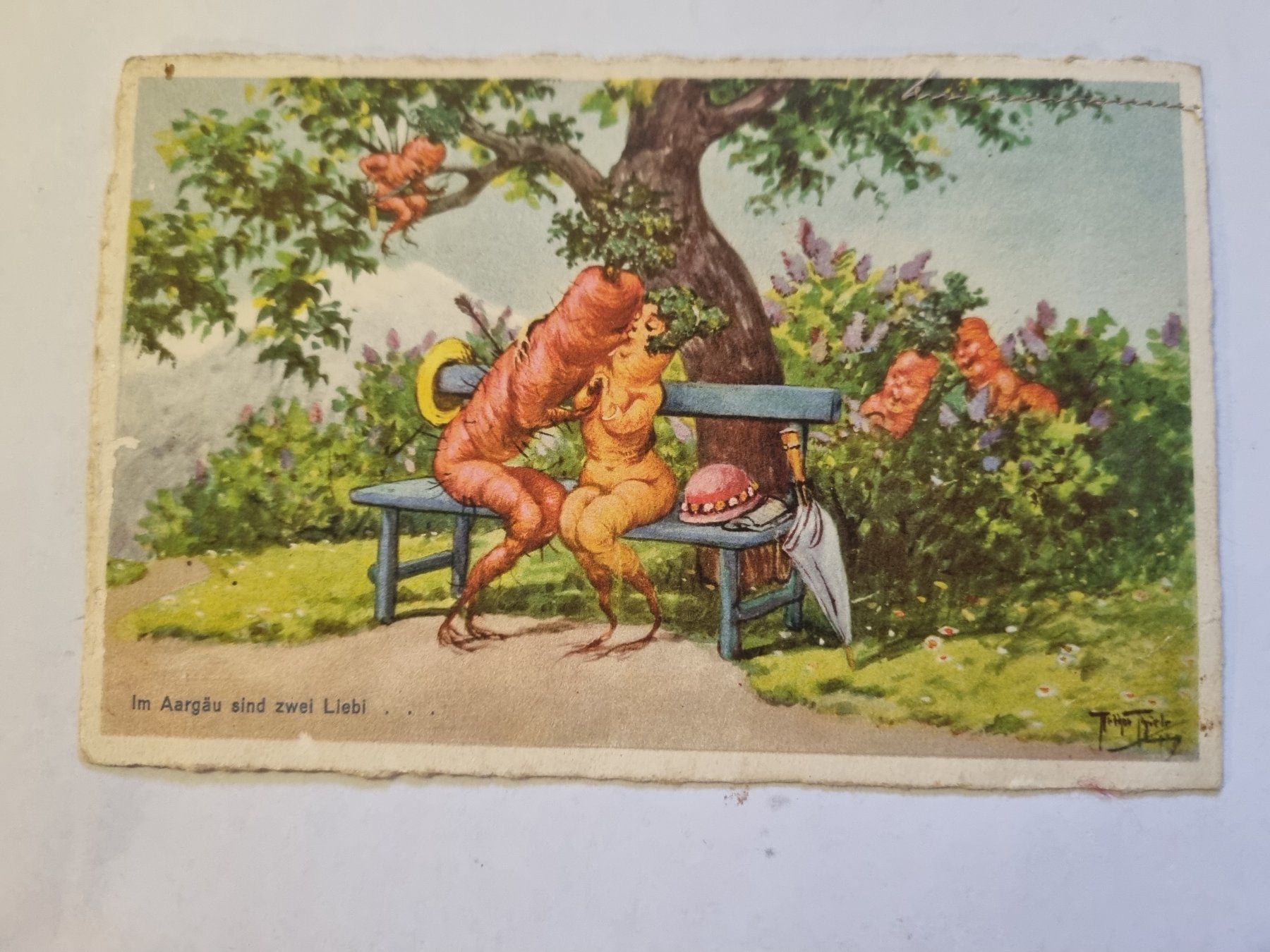 Cartoline postali: Antike Ansichtskarte "Im Aargäu sind zwei Liebli..." – Usato da Trachslau venduto da bastet06