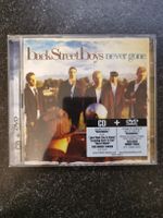 BACKSTREET BOYS NEVER GONE