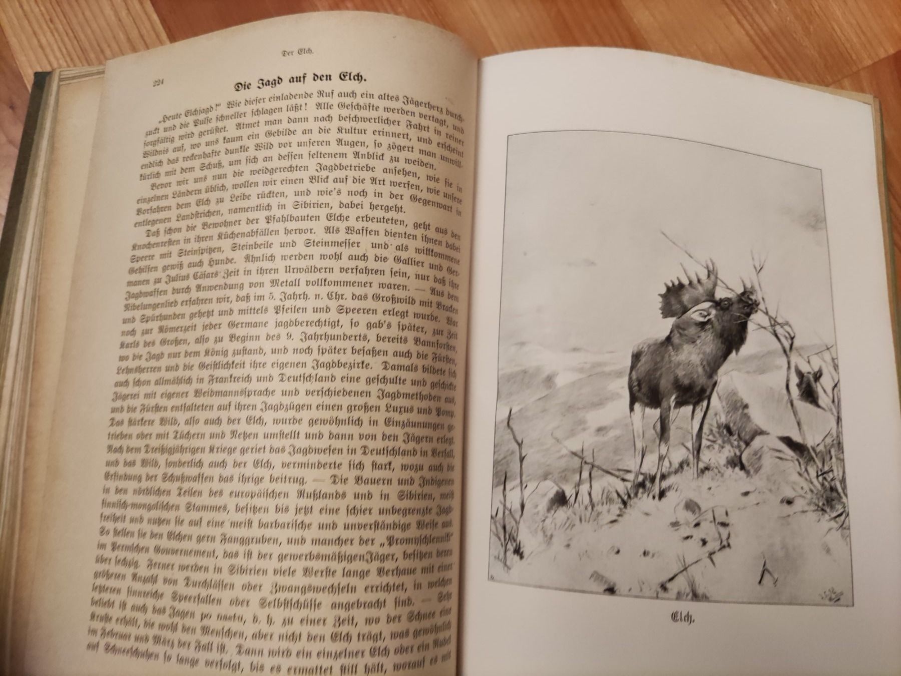 Bücher: Die hohe Jagd 1920 Paray Berlin 4. Auflage – Gebraucht aus Solothurn von Csw1 6