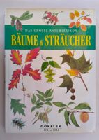 Das grosse Naturlexikon - Bäume und Sträucher / Buch 1998