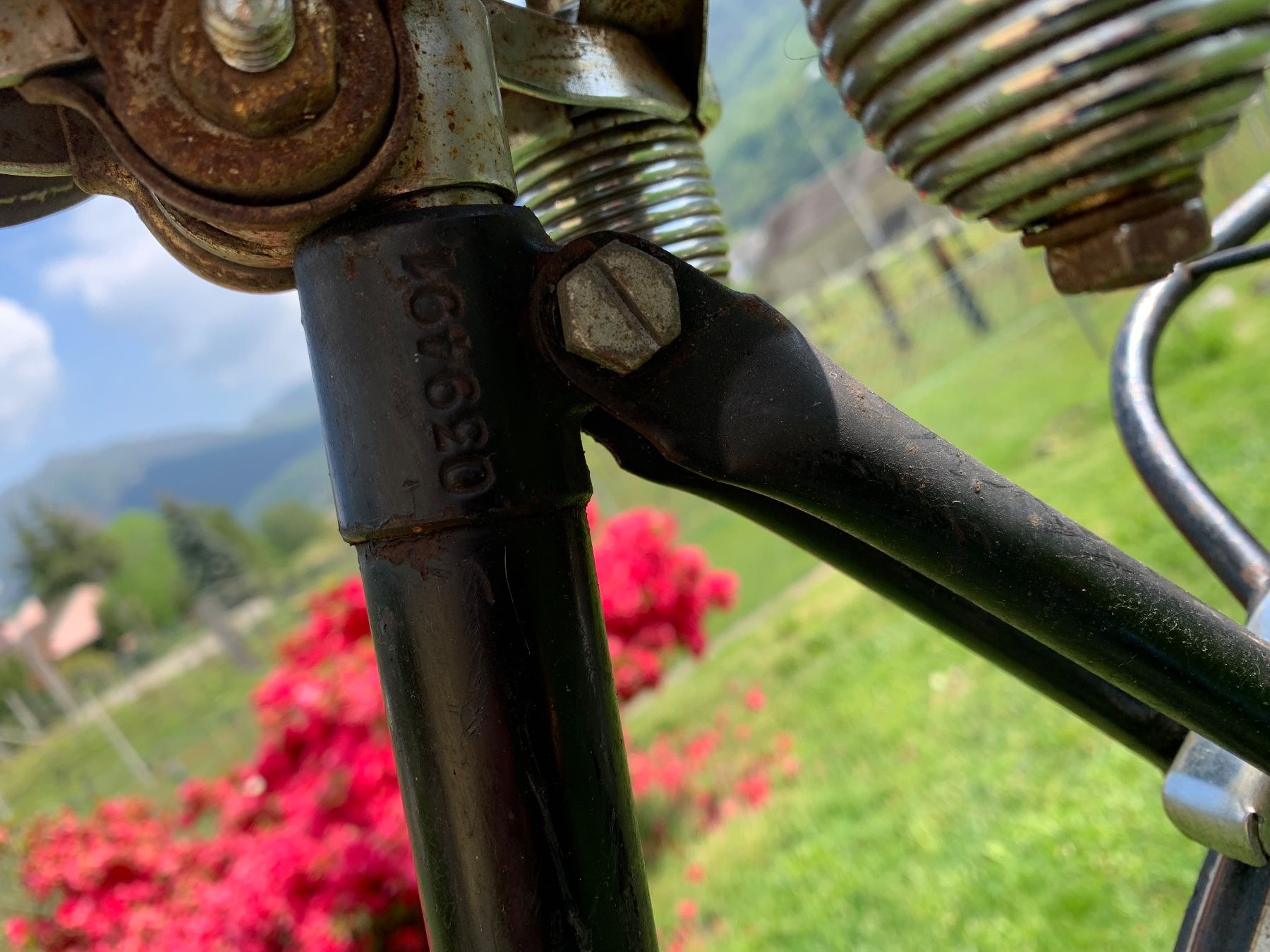 NSU Biciclette: NSU Damen Velo Vintage – Usato da Mezzovico venduto da Herbie53 5
