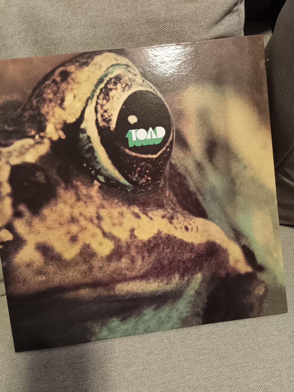 Vinyles: Toad Vinyl – Neuf (Voir description) à Bern par rabbit01