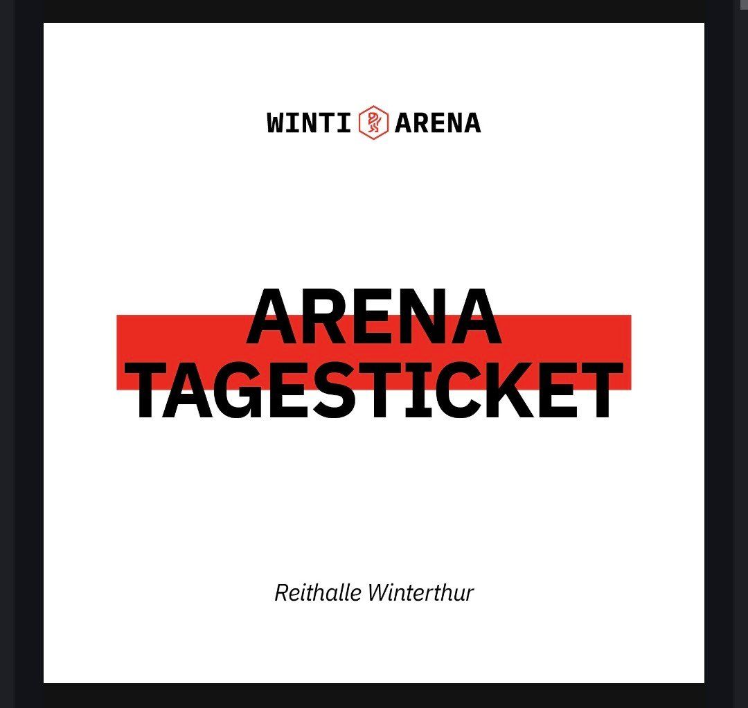 Biglietti: 2 Tagestickets WintiArena 15.07.2026 – Usato da Russikon venduto da HakunaMatata1994