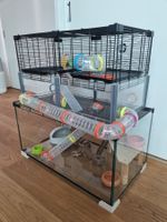 Hamsterkäfig aus Glas mit Aufbau und Röhrensystem
