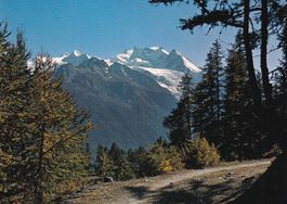 Moosal Wallis Balfrin und Mischabel  1970