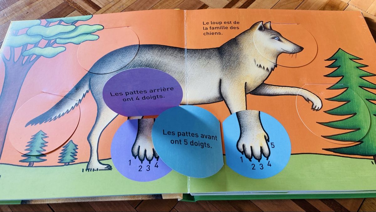 Bücher: Livre éducatif sur le loup – Neu und originalverpackt aus Ardon von hel_2sxp 3