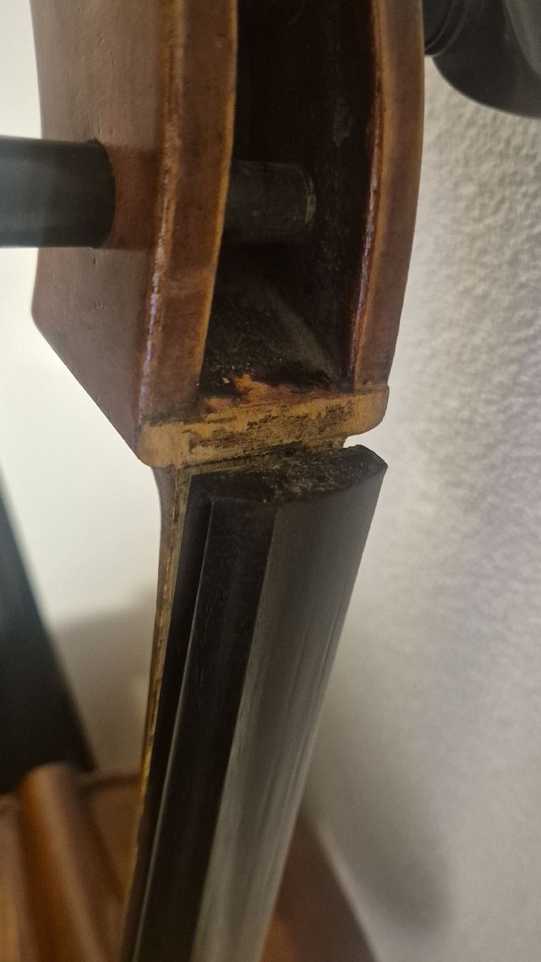 Strumenti musicali: Cello zu Verkaufen – Usato da Rämismühle venduto da beni0010 8