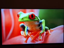 Samsung 50' QLED-Fernseher so gut wie neu