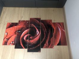 Bild aus 5 Teilen, sieht nett aus zu rot / Schwarze Möbel
