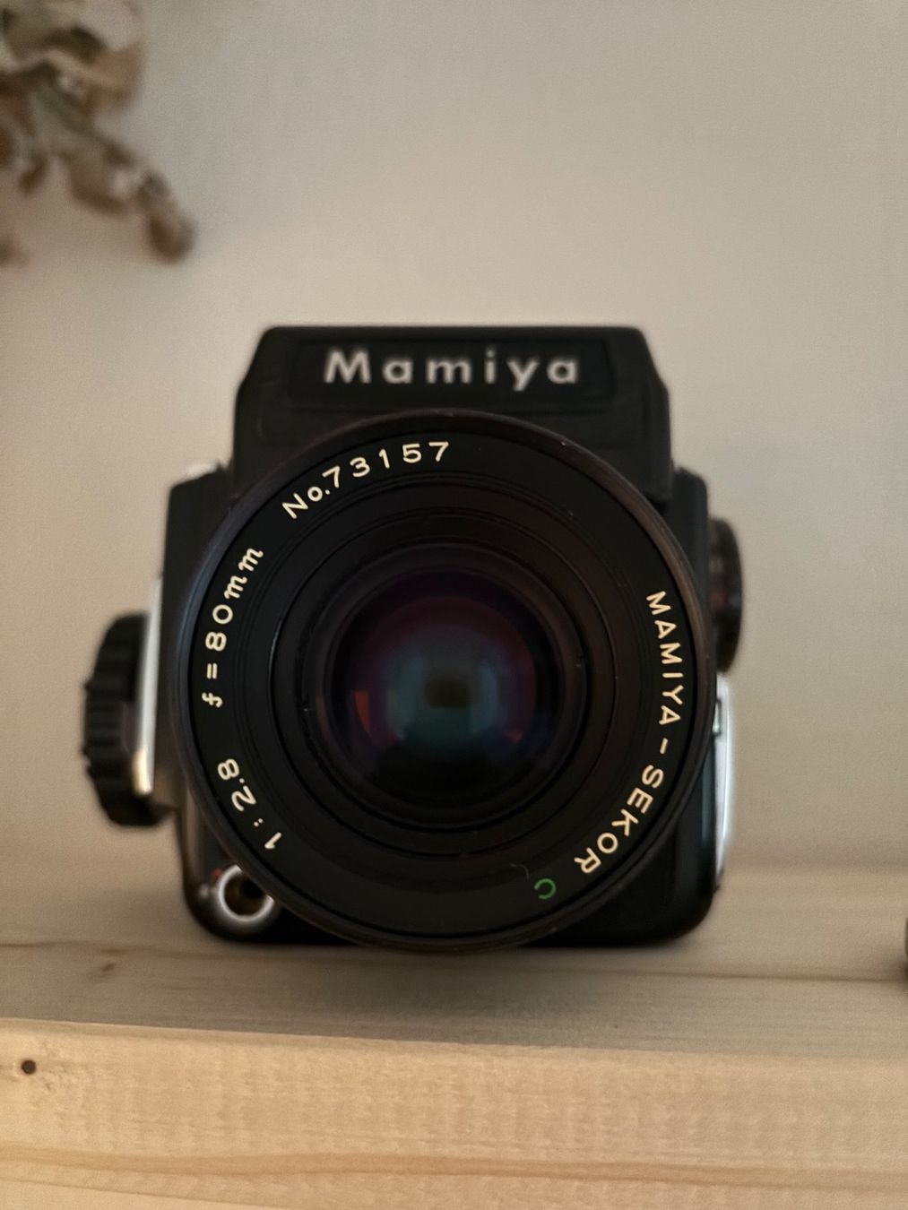 Mamiya Fotocamera: Mamiya 645, mit Prismensucher, Mittelformatkamera – Usato da Bern venduto da kja_w7dn 5