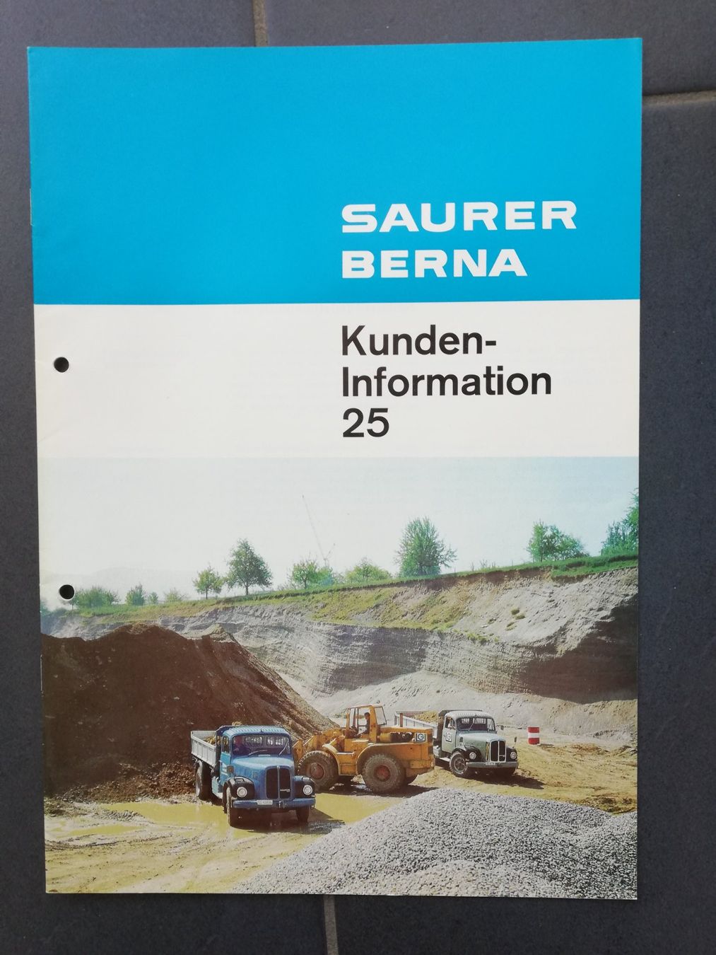 Bücher: Saurer – Gebraucht aus Höfen b. Thun von Sweetjona