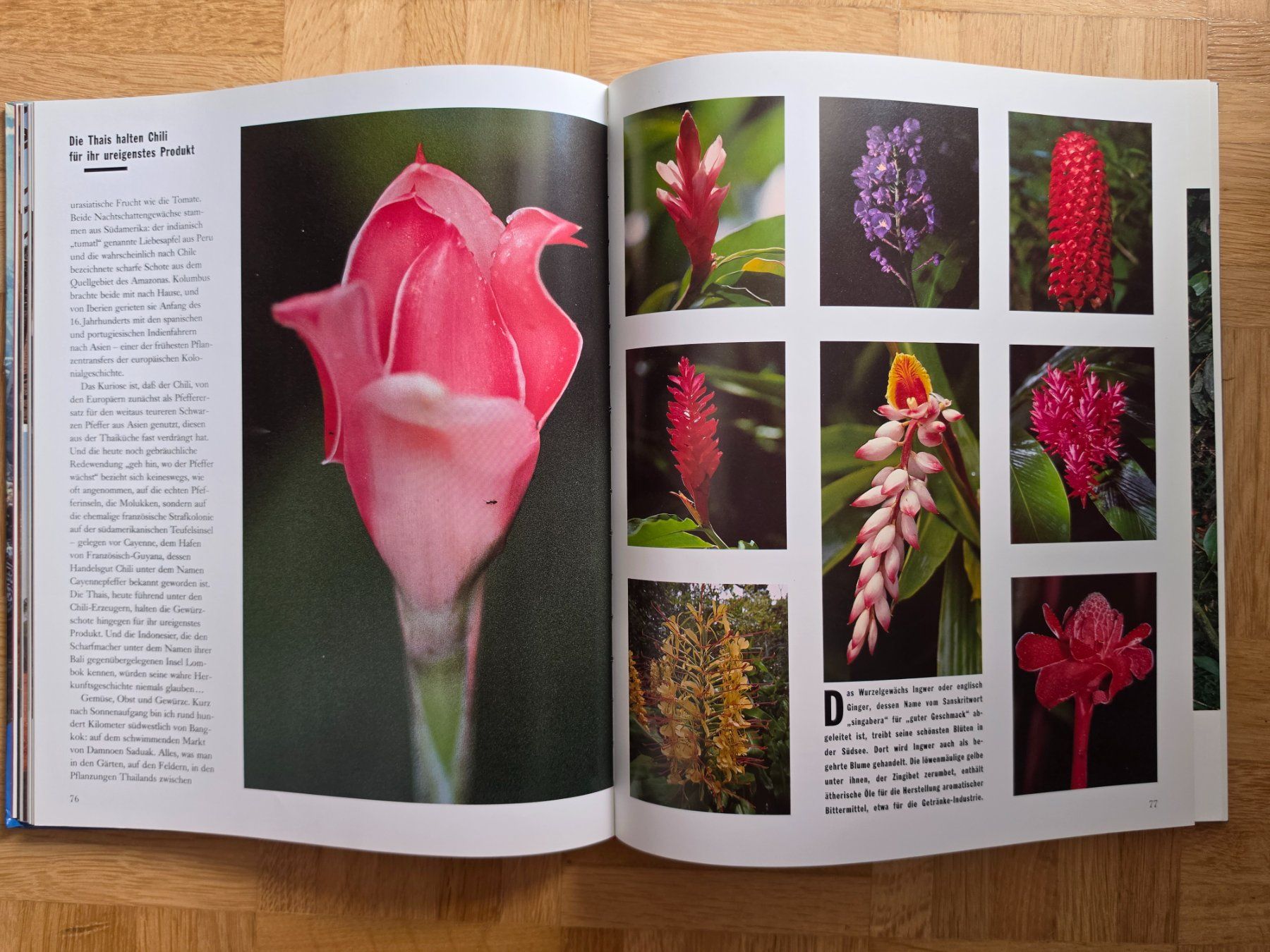 Libri: Reportagen aus dem Garten Eden – Usato da Stäfa venduto da flamingo_17 4