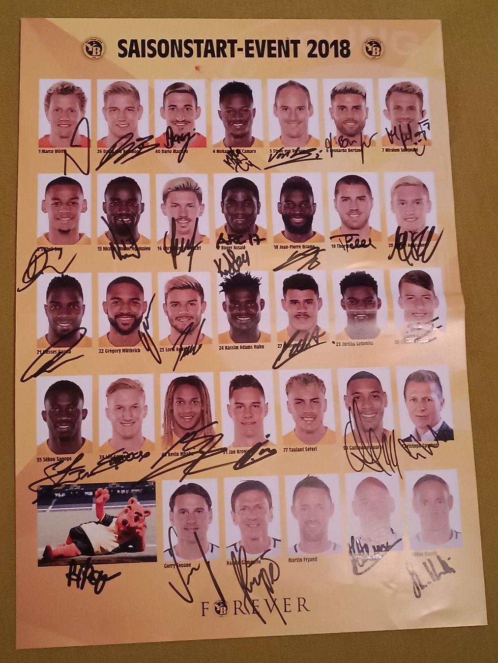 Autografi: YB 2018 - persönlich gesammelt – Usato da Menziken venduto da Autogramme