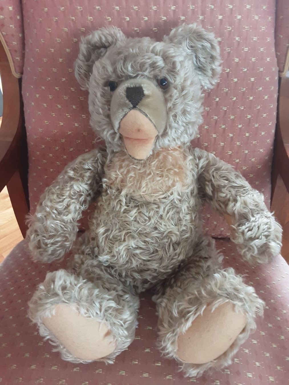 Giocattoli: STEIFF Zotty Teddybär – Usato da St. Gallen venduto da charly92