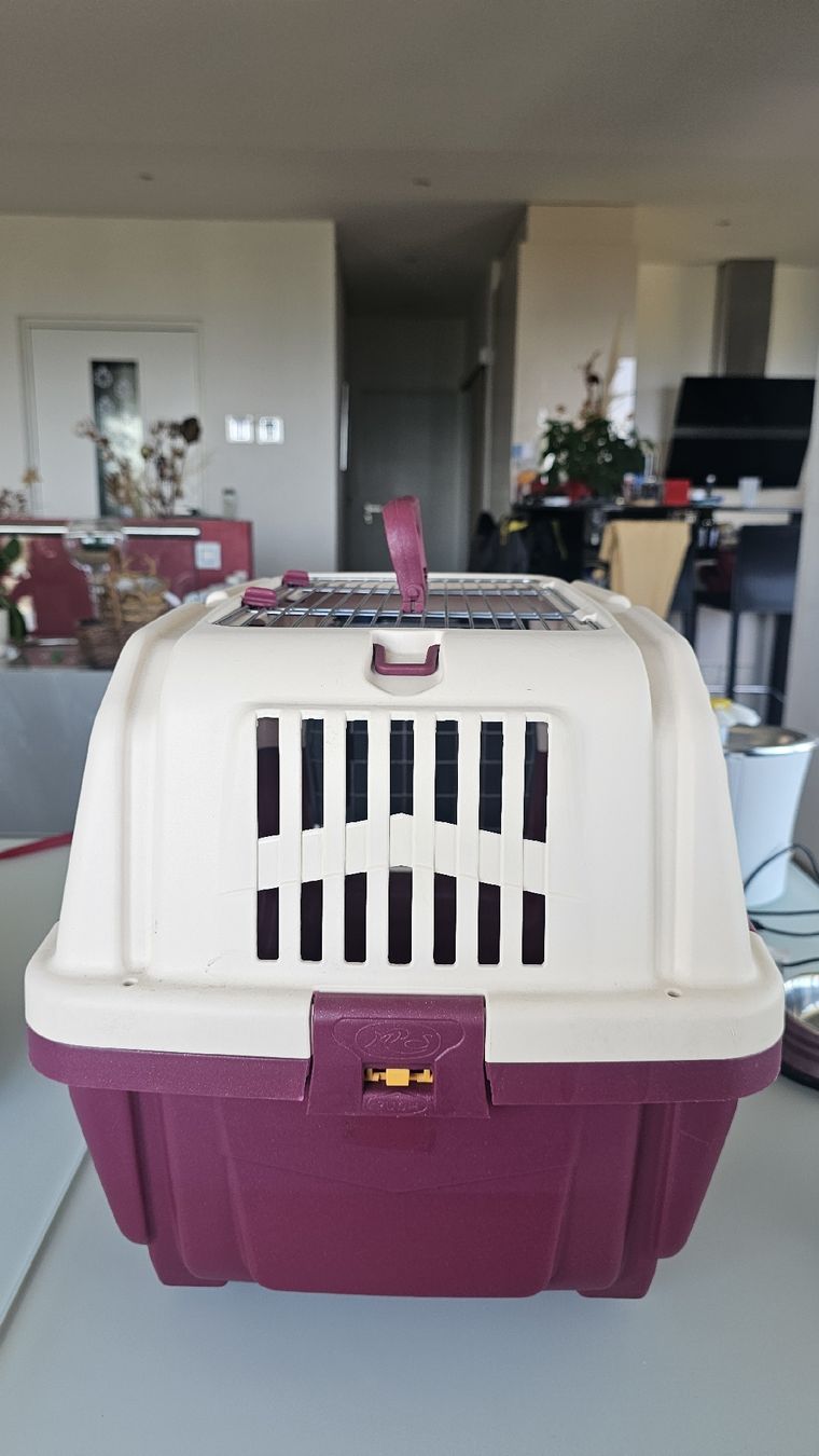 Käfige, Transport & Sicherheit: cage transport chat/animaux  – Gebraucht aus Nax von mojy