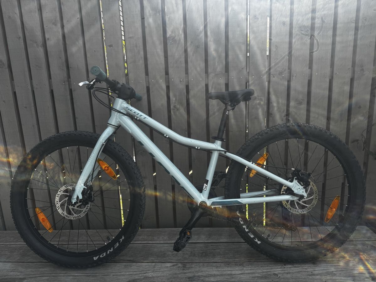 Scott Velos: SCOTT Contessa 24 Rigid – Gebraucht aus Wabern von homunculus01
