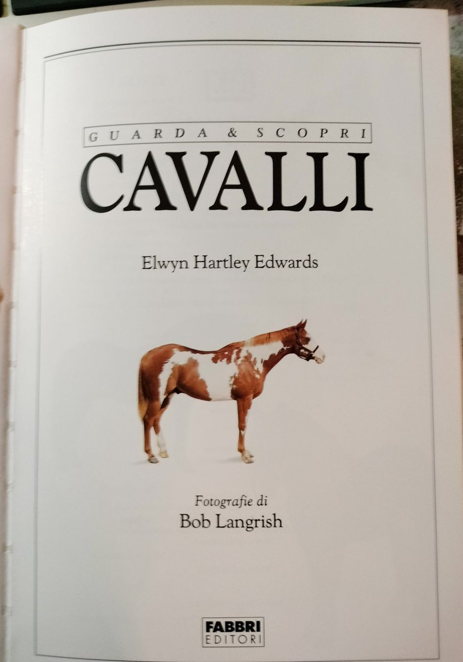 Libri: Libro sui Cavalli – Usato da Capolago venduto da sco_7ywt 2