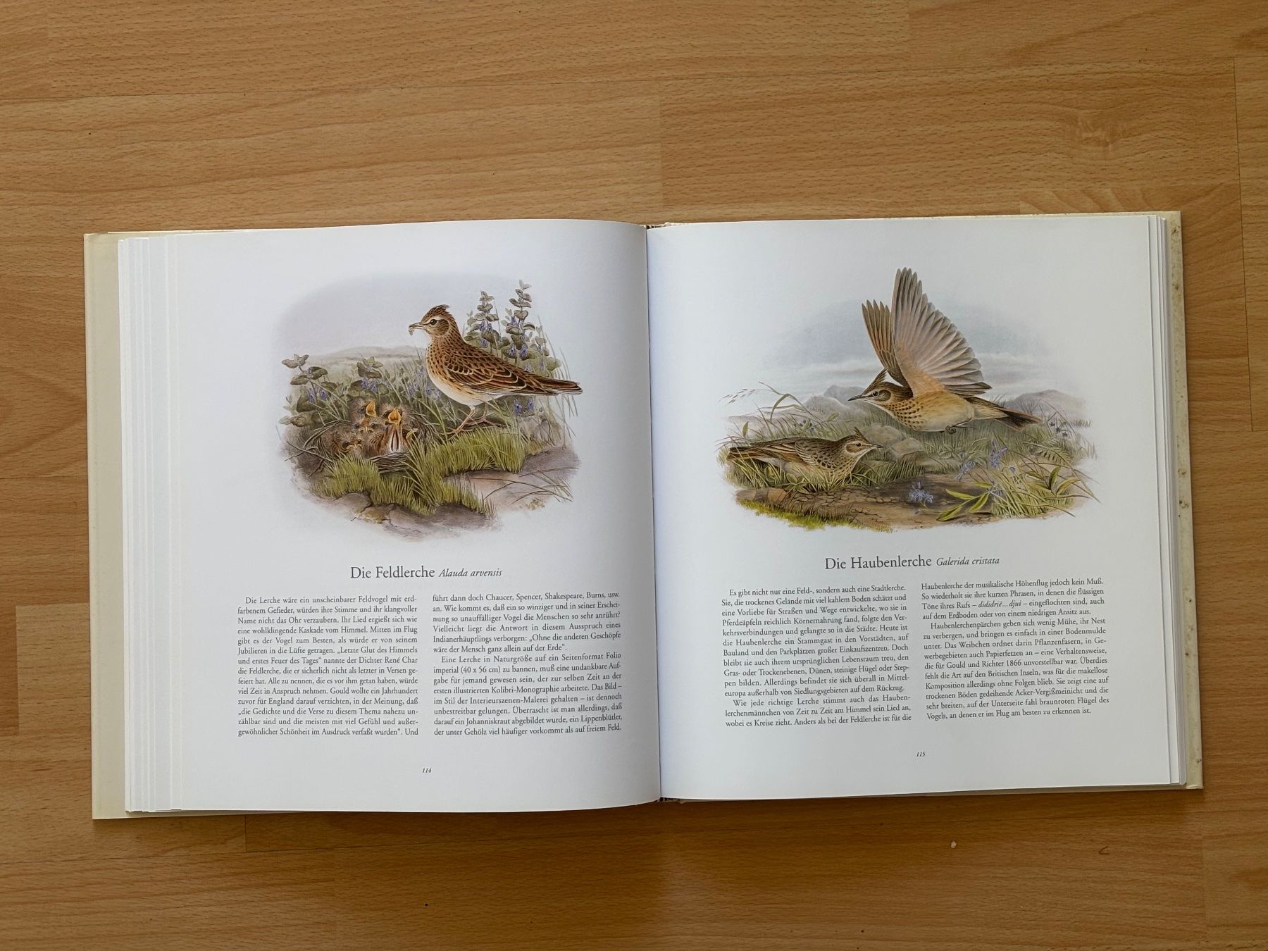 Libri: Die Vögel Europas von John Gould – Usato da Zürich venduto da Masaiti 6