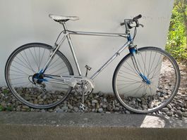Panthera Herrenvelo