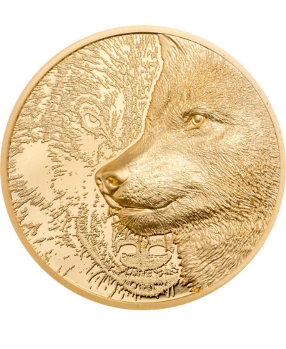 Tutti le monete: Goldmünze Mongolei Mystic Wolf – Nuovo e nell'imballaggio originale da Greppen venduto da hploetscher 1