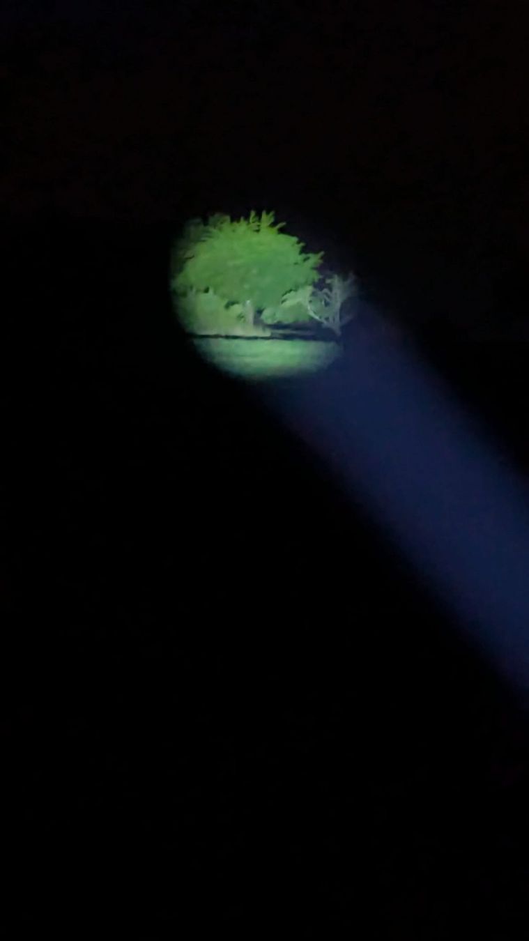 Lampade: Sawor CompactBeam – Nuovo (secondo la descrizione) da Ormalingen venduto da Jonathan_Rigo 1