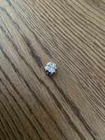 Pandora Charm Kleeblatt