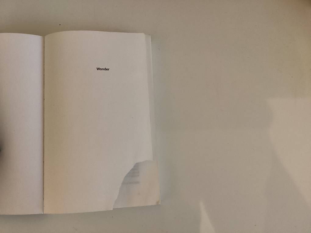 Libri: Buch Wonder von R.J. Palacio – Usato da Sissach venduto da cel_zy5d 3