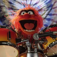 Profile image of TheAnimalDrummer