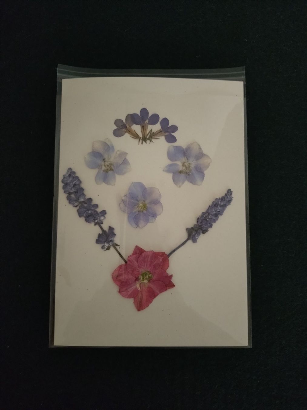 Cartoline: Grusskarte mit echten Blüten – Nuovo e nell'imballaggio originale da Kilchberg ZH venduto da chr_g5kn 2