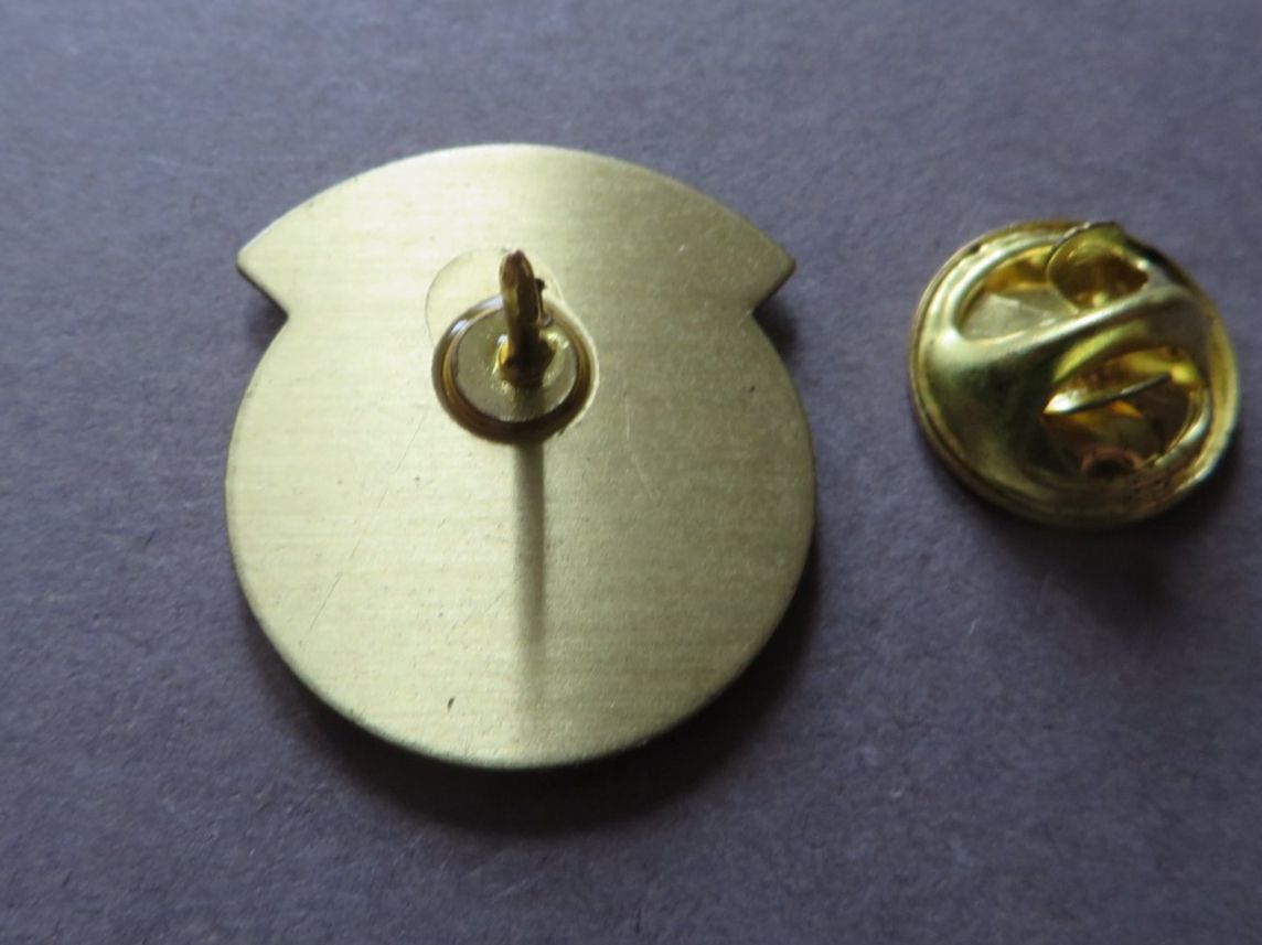 Coca-Cola Placchette & Badge: PIN GETRÄNKE, COCA-COLA ALWAYS – Usato da Neuhausen venduto da luckimucki 1