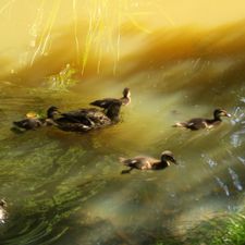 Profile image of Judith.M