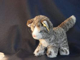 Original Steiff  Katze Plüschtiet