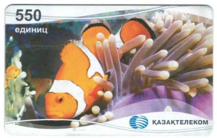 Telefon- & Taxkarten: Telefonkarte Kasachstan Clownfisch – Gebraucht aus Zürich von Tolima194