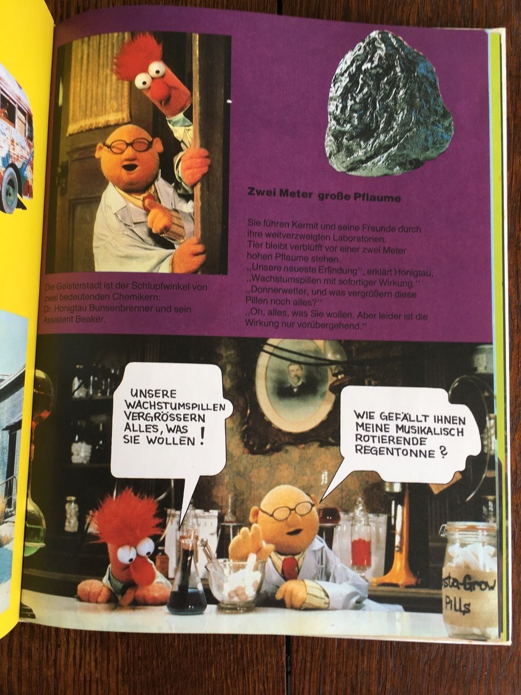 Bücher: Die Muppets erobern Hollywood – Gebraucht aus Basel von Chamisso 4