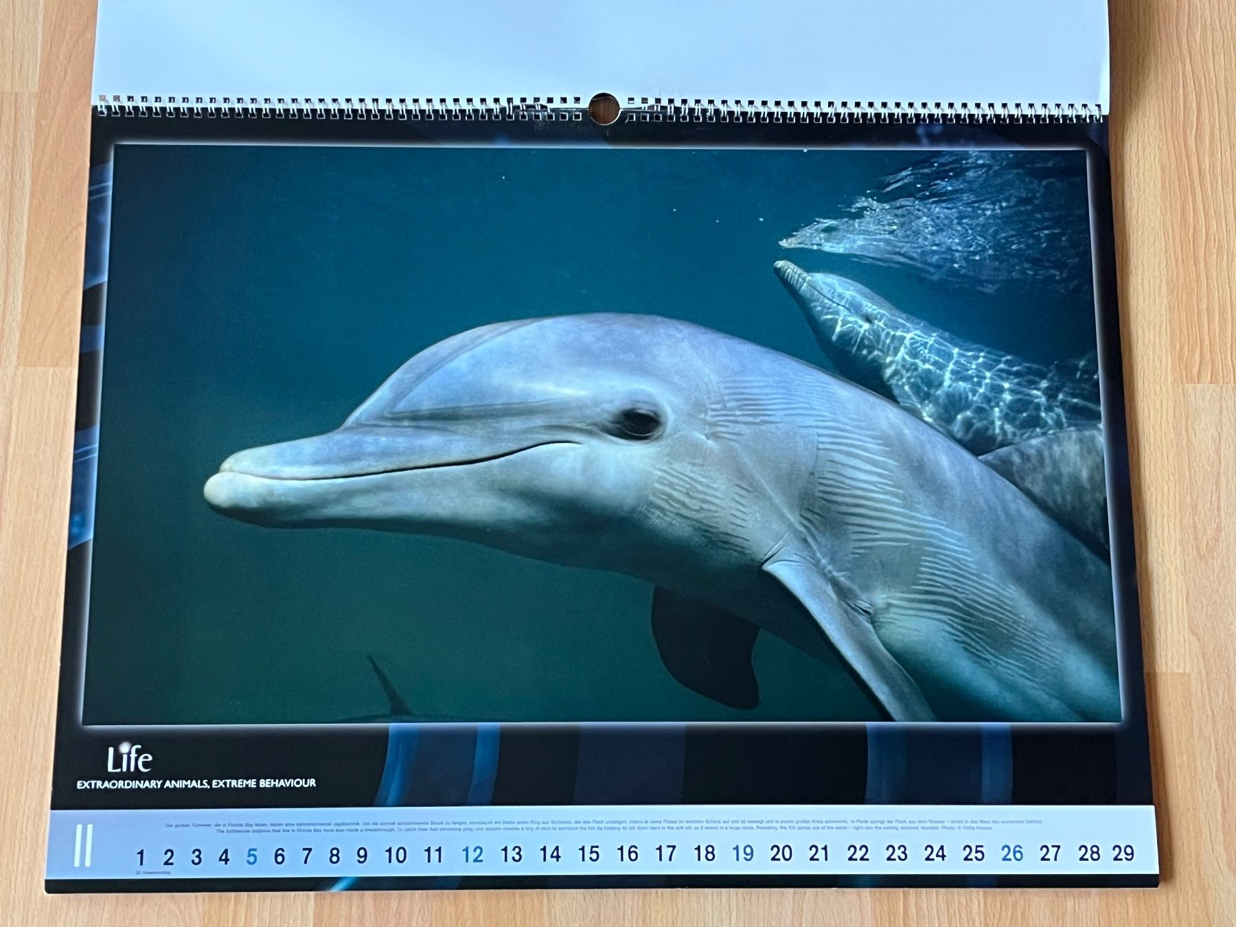 Kalender: Kalender "Life: Extraordinary animals/extreme behaviour 2012 – Gebraucht aus Uetendorf von sru128 2