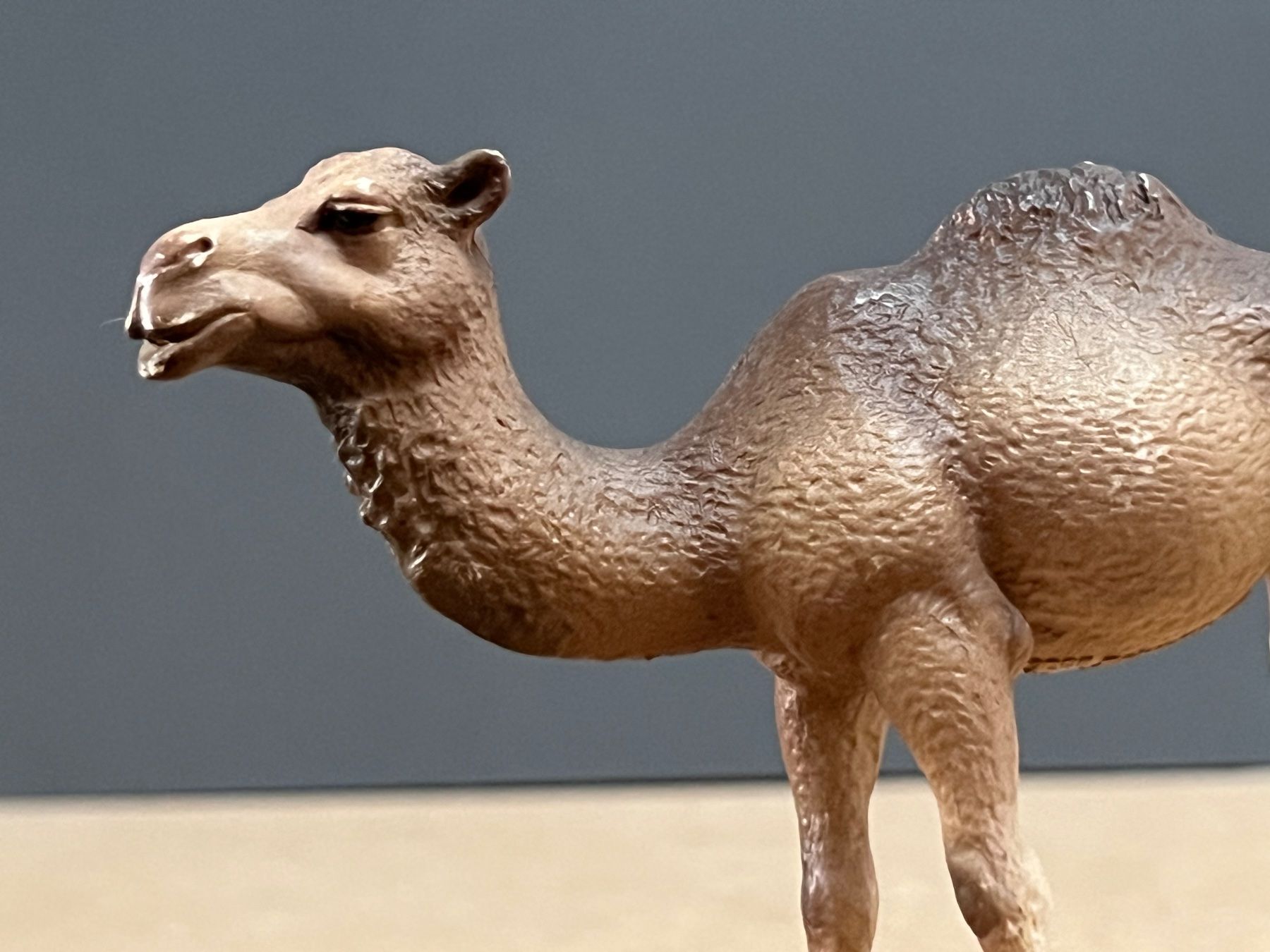 Schleich Sonstiges Spielzeug & Basteln: Schleich Dromedar Stute und Fohlen Kamel – Gebraucht aus Ennetbaden von  5