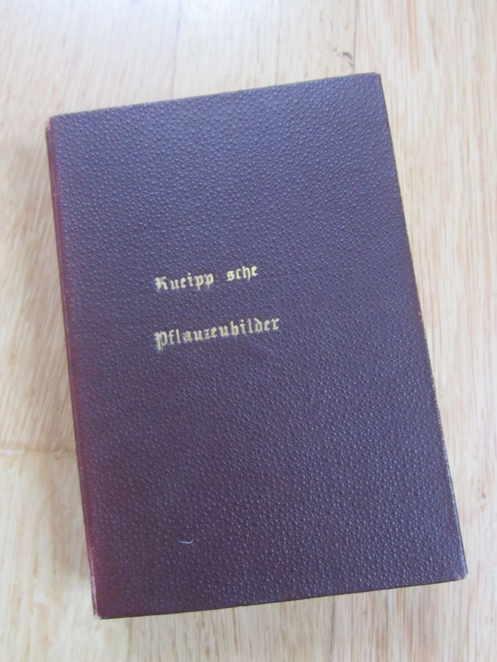 Libri: Kneipp sche Pflanzenbilder – Usato da Seengen venduto da mikelele
