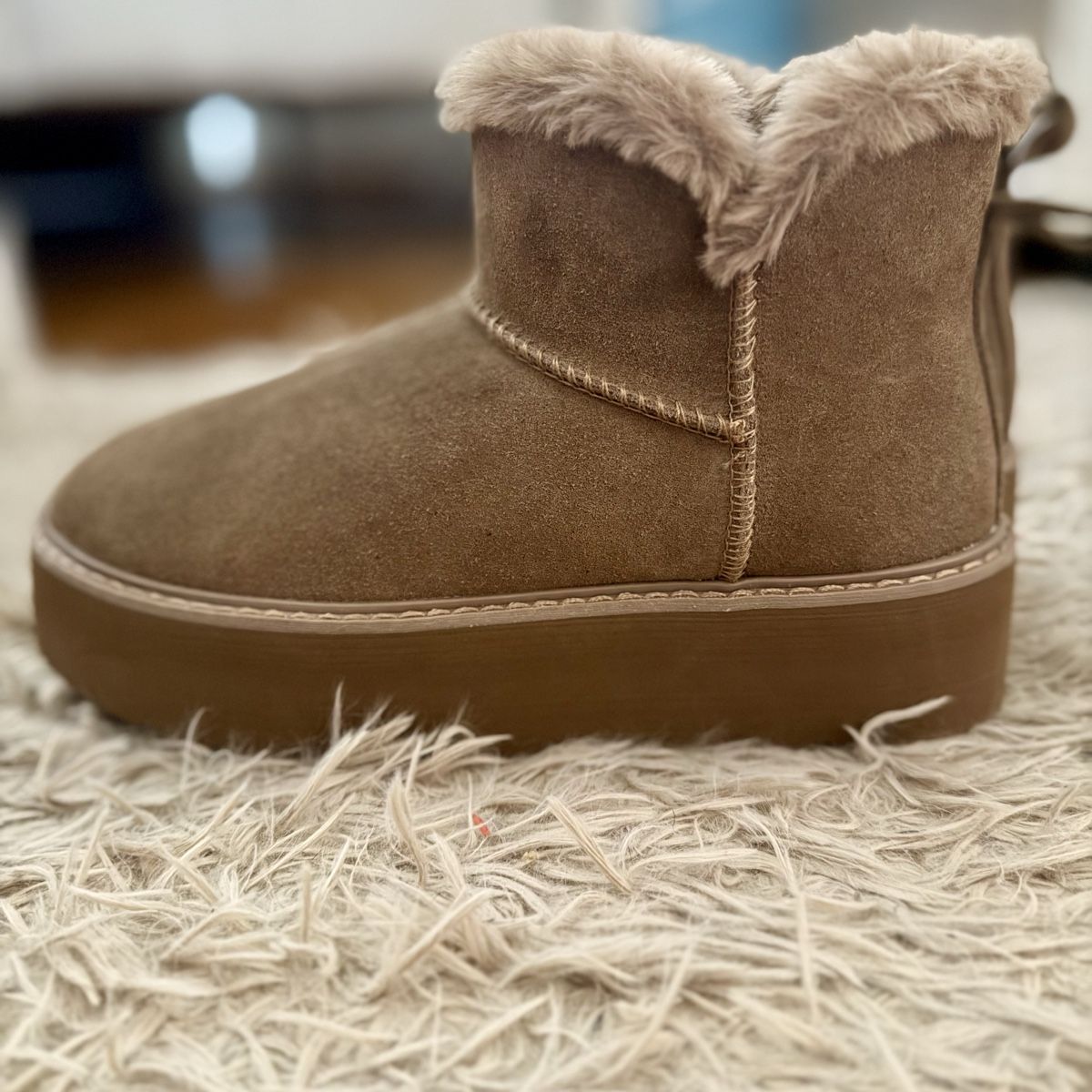 Scarpe per cavalli: Cosy Brown Winter Boots – Nuovo (secondo la descrizione) da Genève venduto da brown-angeles