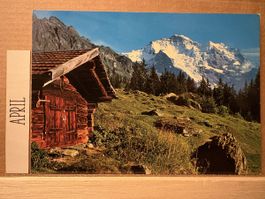 AK von Die Jungfrau