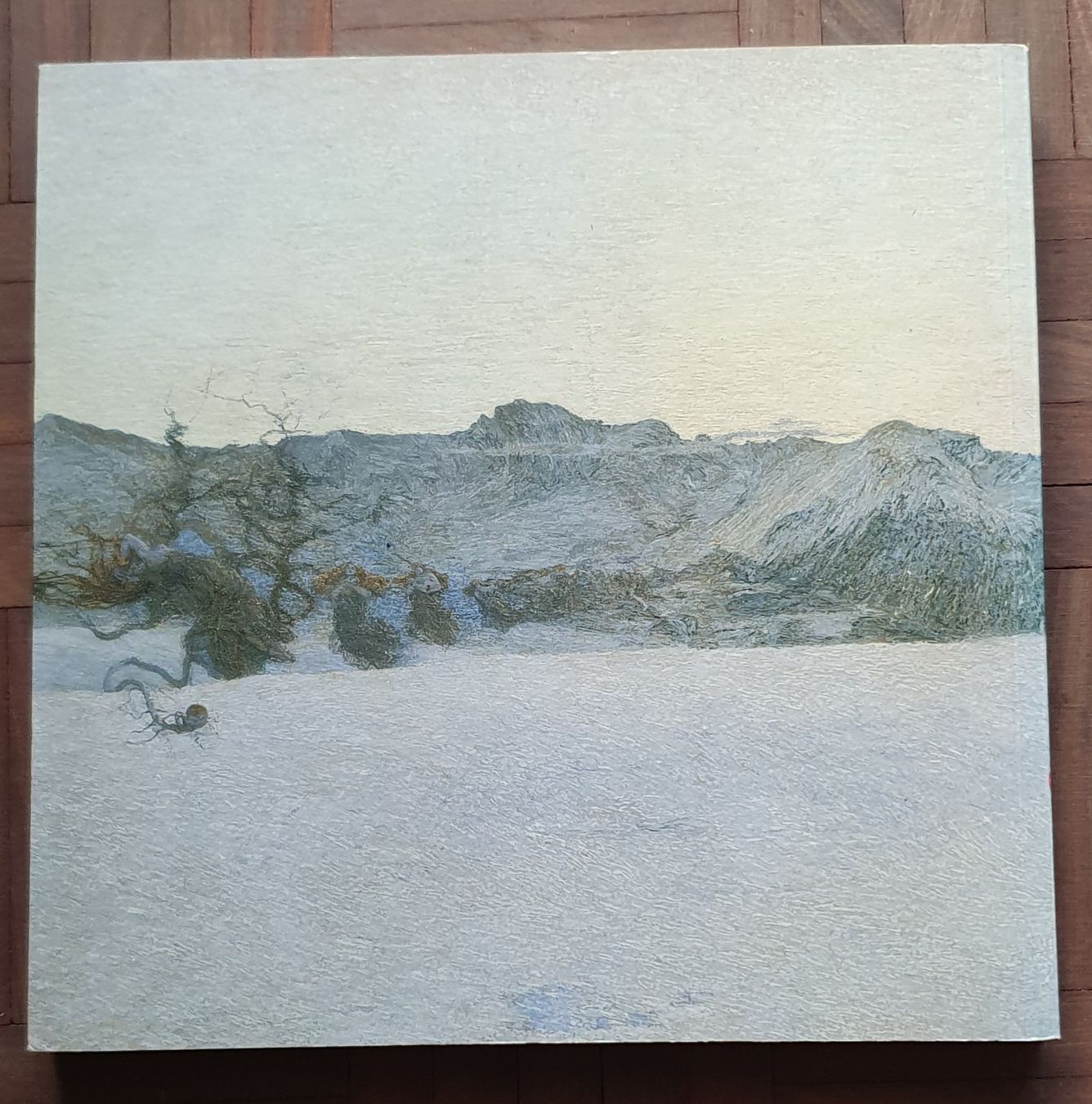 Libri: Buch - Giovanni Segantini – Usato da Kreuzlingen venduto da Rschweiz1 7