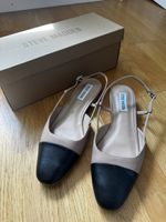 Steve madden shoes