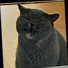 Profile image of Jflow5430